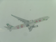 豪雪の福岡空港にて⑦