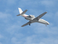 水産庁の飛行機