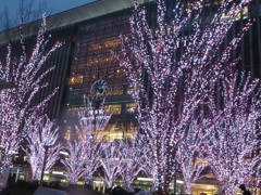 博多シティ桜イルミネーション②