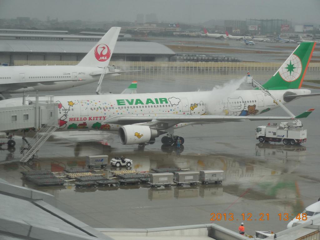 雪のため除雪する旅客機③