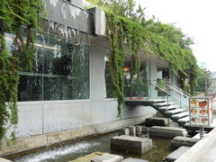 天神中央公園のオシャレなカフェ