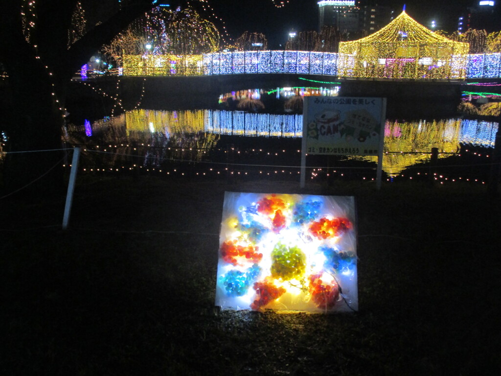 佐賀県鳥栖市中央公園のイルミネーション　⑰