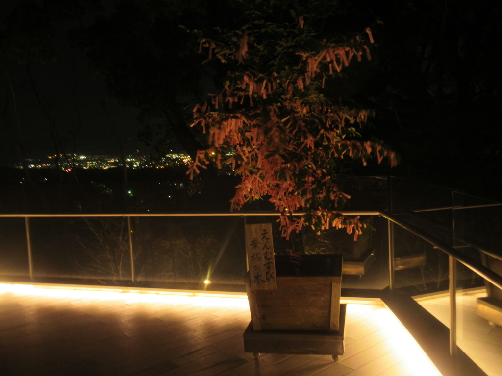 太宰府市竈門神社の夜　②