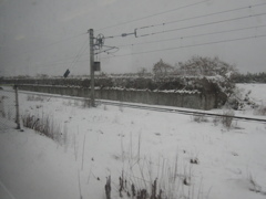 福岡県筑豊地区の飯塚や直方の雪です③