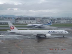 JALの777－300