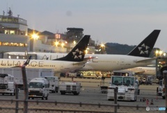 ２機並ぶスタアラ