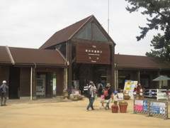 GWラスト海の中道海浜公園にて②