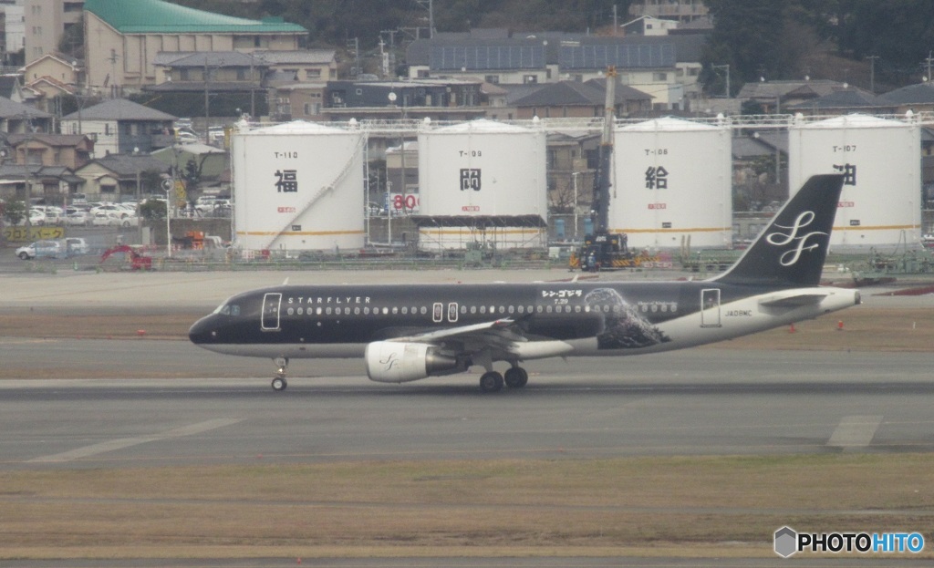 スターフライヤー　シンゴジラ