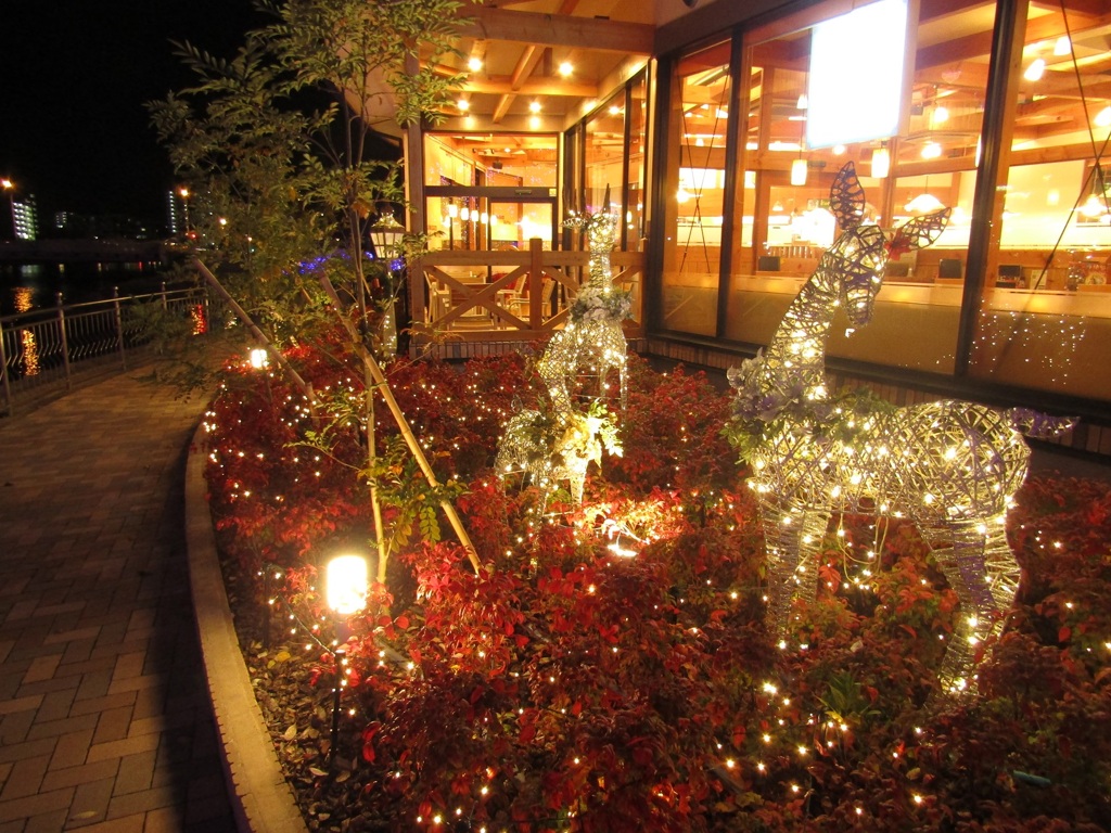 小倉紫川イルミネーション　⑩