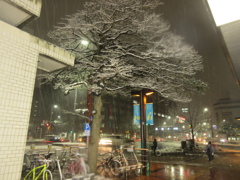 福岡市中央区天神の積雪の様子です①