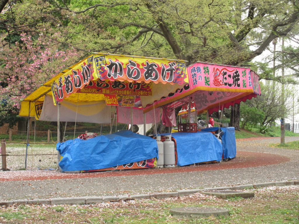 お花見①