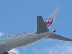 JAL　B７７７　ピンクリボンジェットの旋回アプローチ