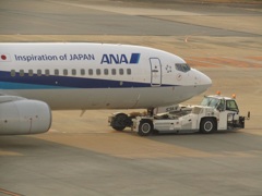 B737-800 ドーバーレストーイングカーで牽引