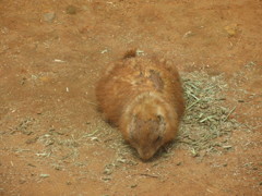 GWラスト海の中道海浜公園にて⑩