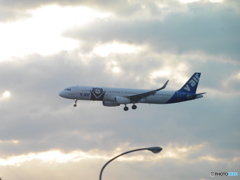 夕暮れと着陸①