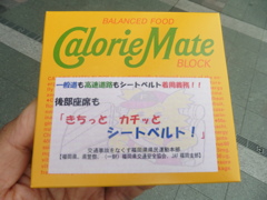 博多駅前シートベルト着用PR⑤