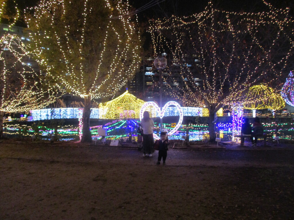 佐賀県鳥栖市中央公園のイルミネーション　㉗