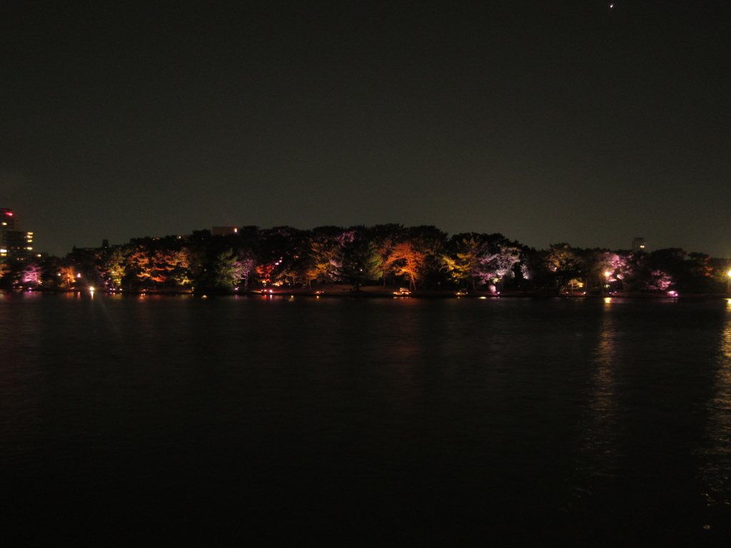 夜の大濠公園⑥