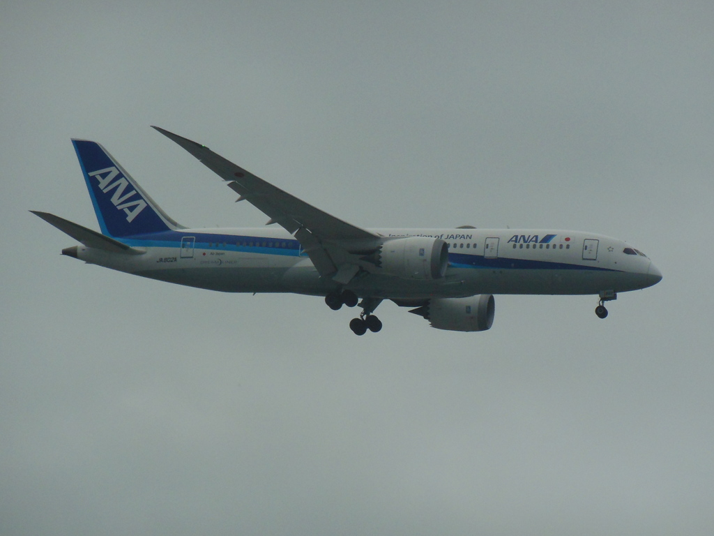 ANA  B787-8  JA802A