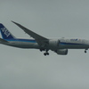 ANA  B787-8  JA802A