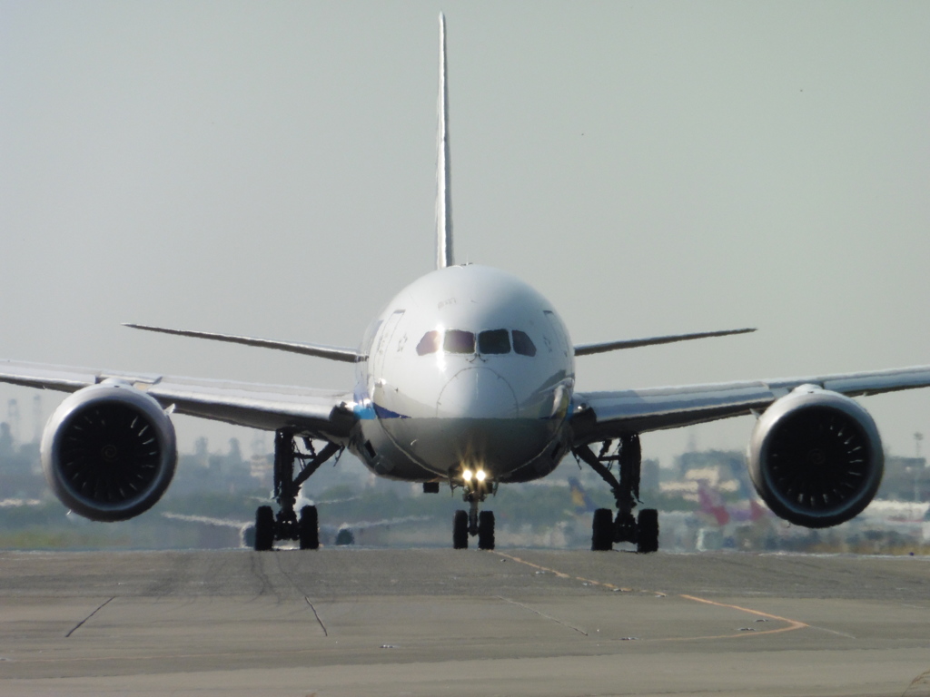 目の前からANA　B787