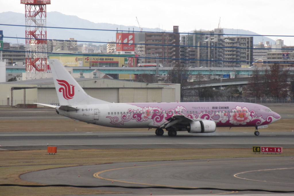 AIR CHINA 紫牡丹塗装