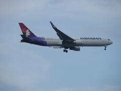 ホノルルから到着です。