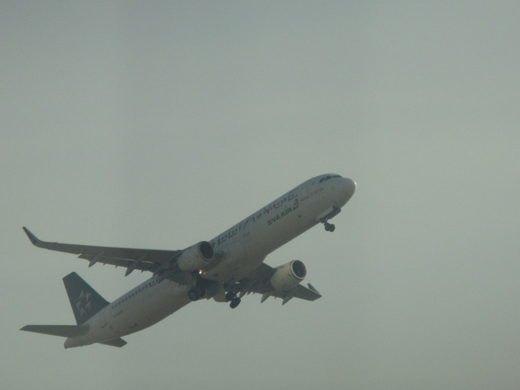 アシアナA321スターアライアンス離陸