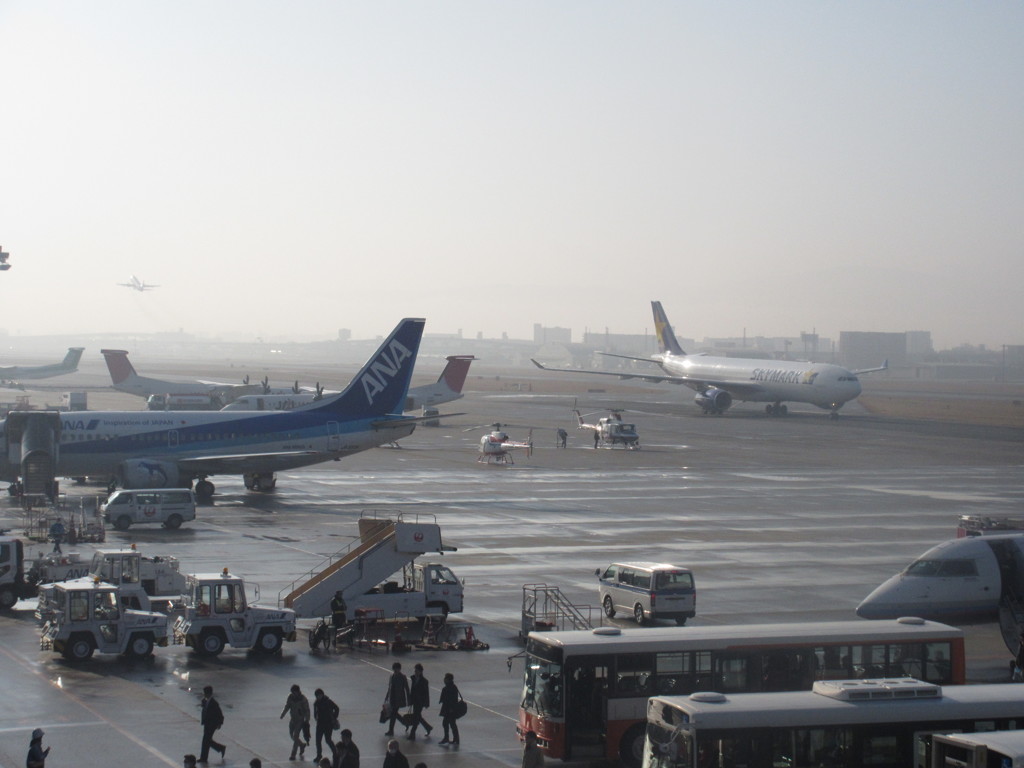 霧の立ち込めた朝の福岡空港