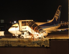 最終便到着後の福岡空港④