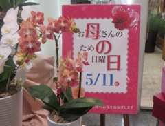 母の日