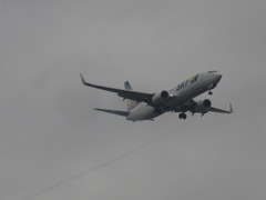 SKYMARK  JA73NP  1