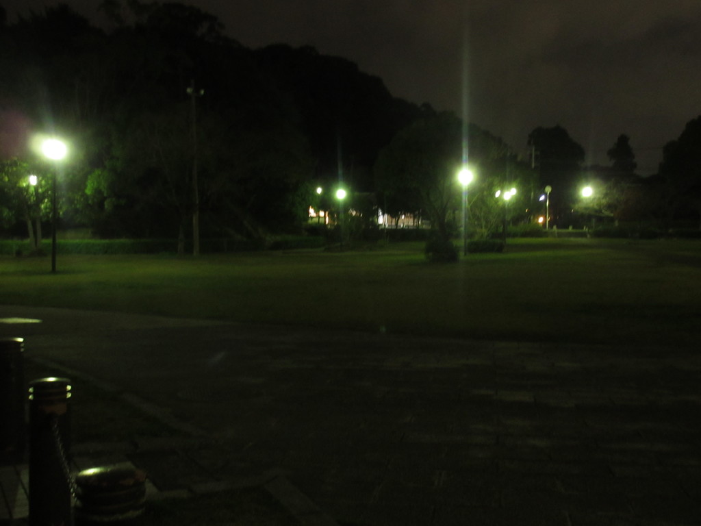 夜の天拝山歴史公園　①