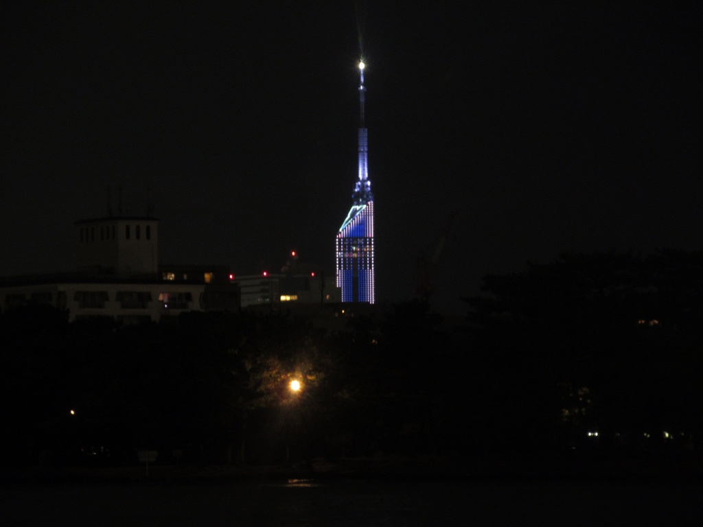 大濠公園から眺める福岡タワー