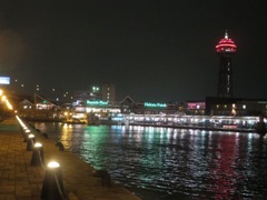 夜の博多港
