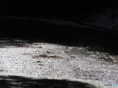 路上を流れる雪解け水①