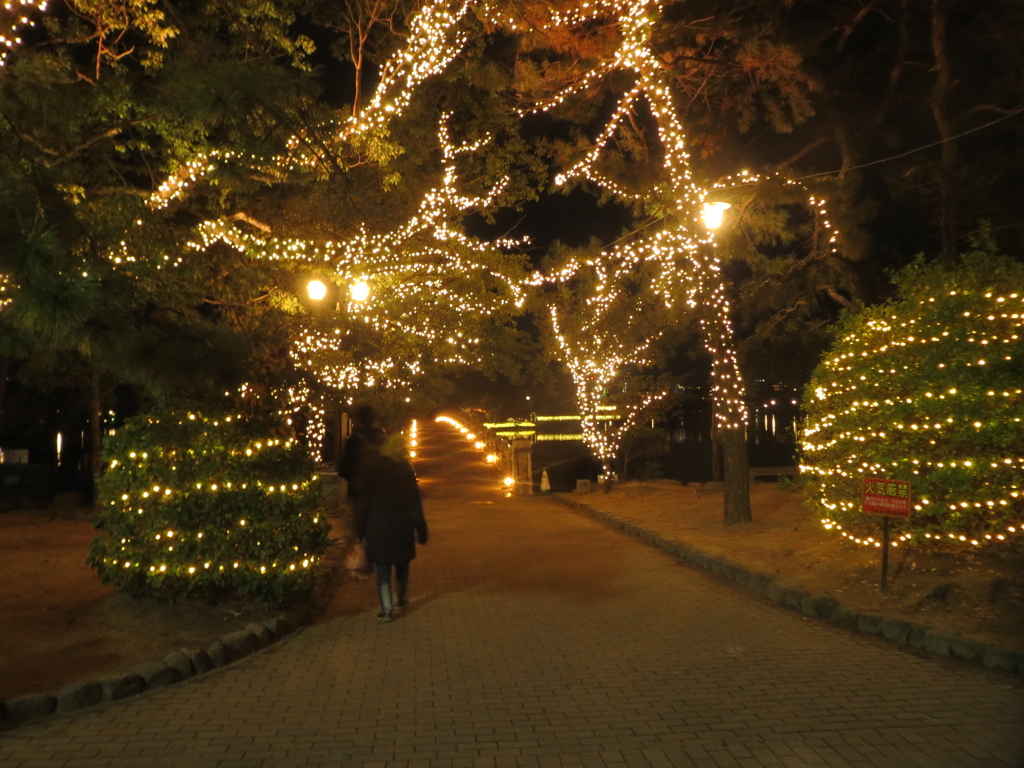 福岡市大濠公園イルミネーション　②