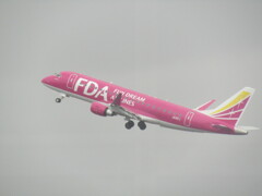 離陸　FDA  JA15FJ