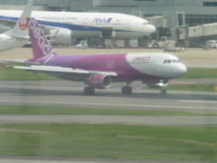 PEACH　JA801P着陸