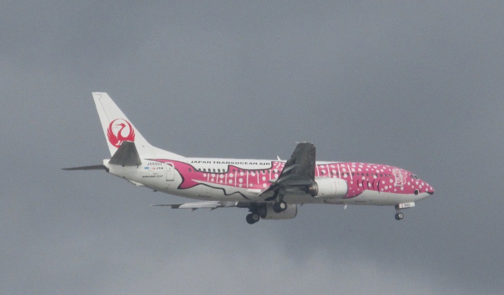 JTA　B737-400　ピンクのジンベエ着陸