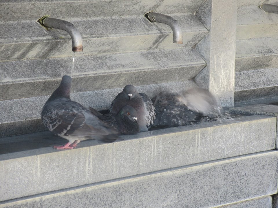 福岡のとある神社にて　③