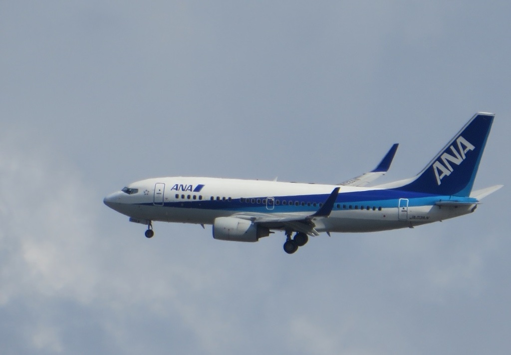 ANA　B737のサークリングアプローチ