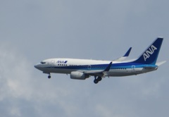 ANA　B737のサークリングアプローチ