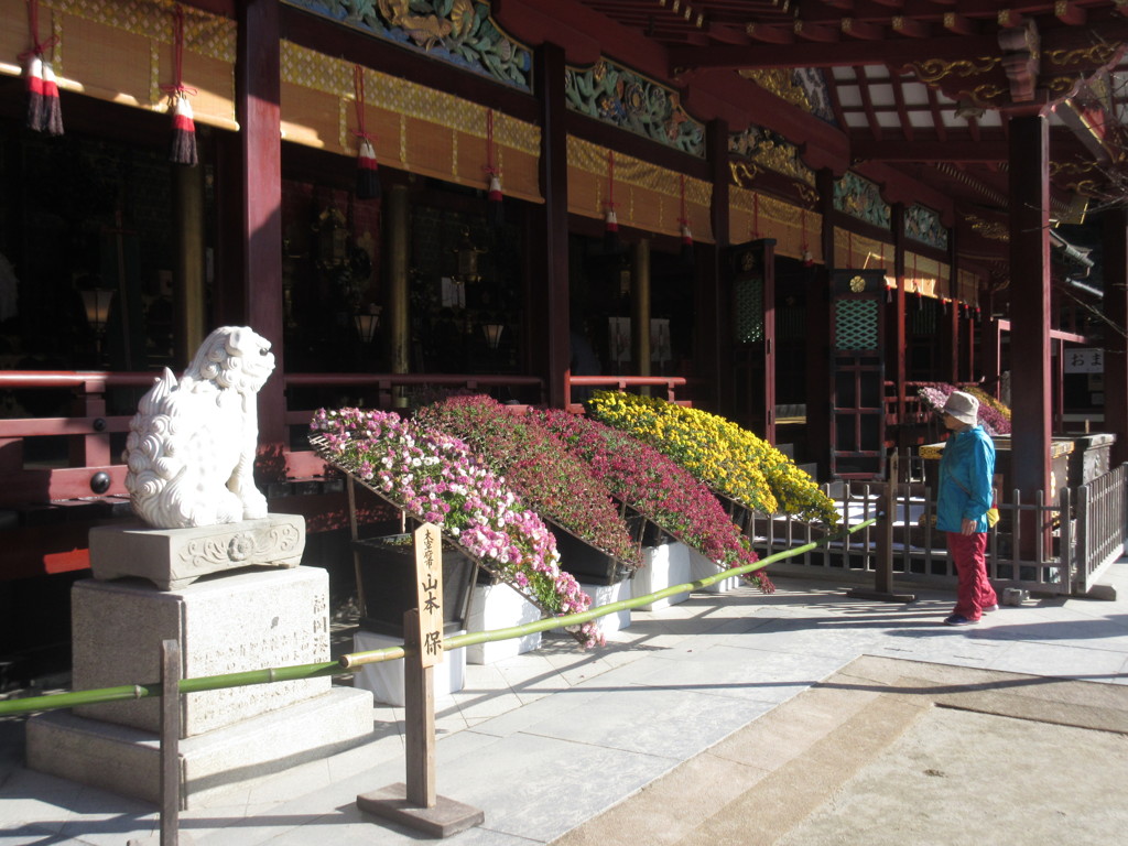 大宰府天満宮にて