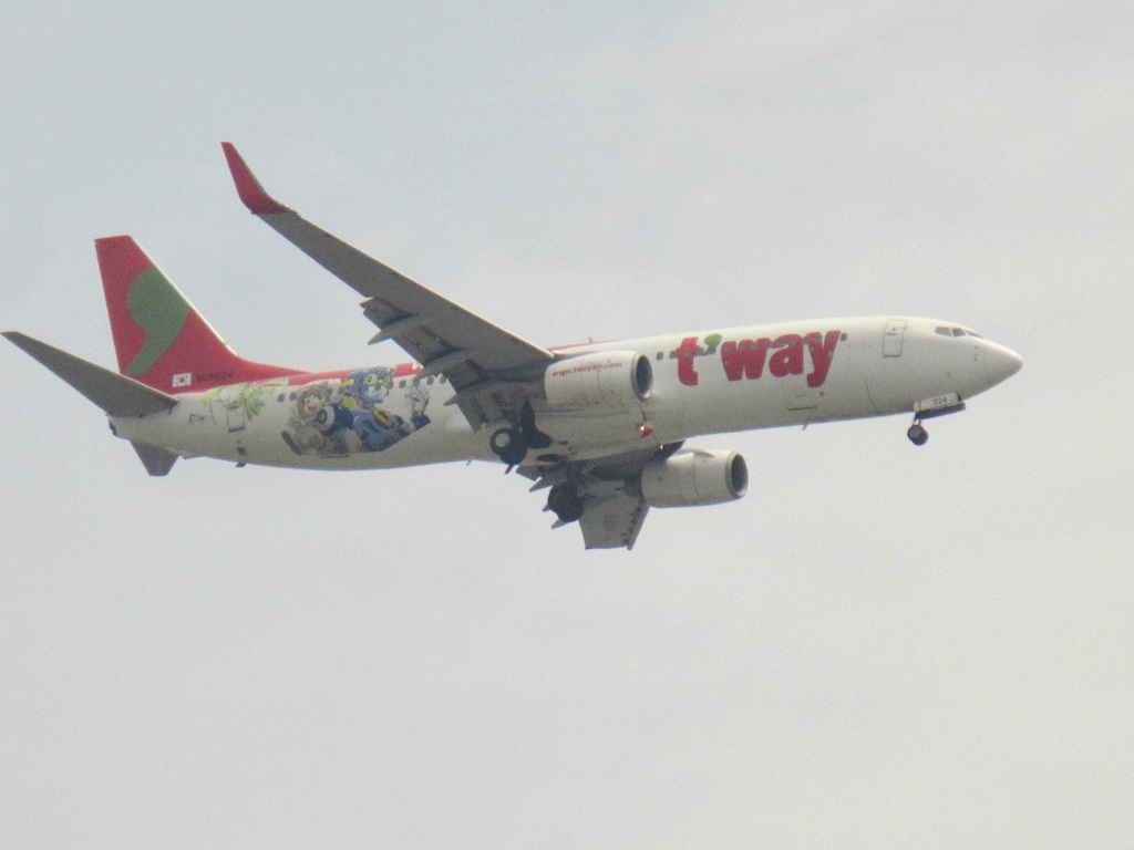 t-way  HL8024