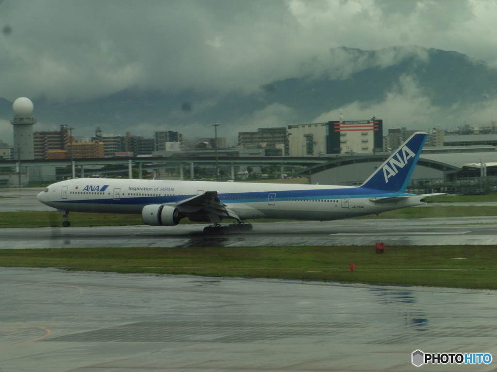 ANA　B777-300着陸