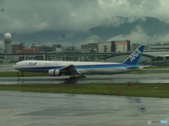 ANA　B777-300着陸
