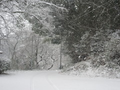 雪景色③