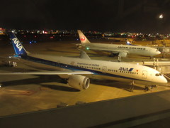 ANA　B787-9到着②