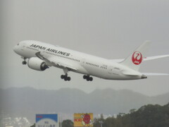 離陸　JAL  B787-8